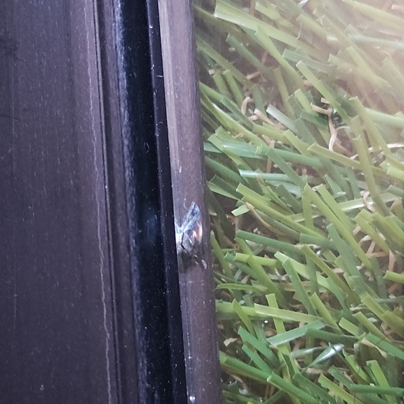 Diploma size Frame - Picture 4 of 6